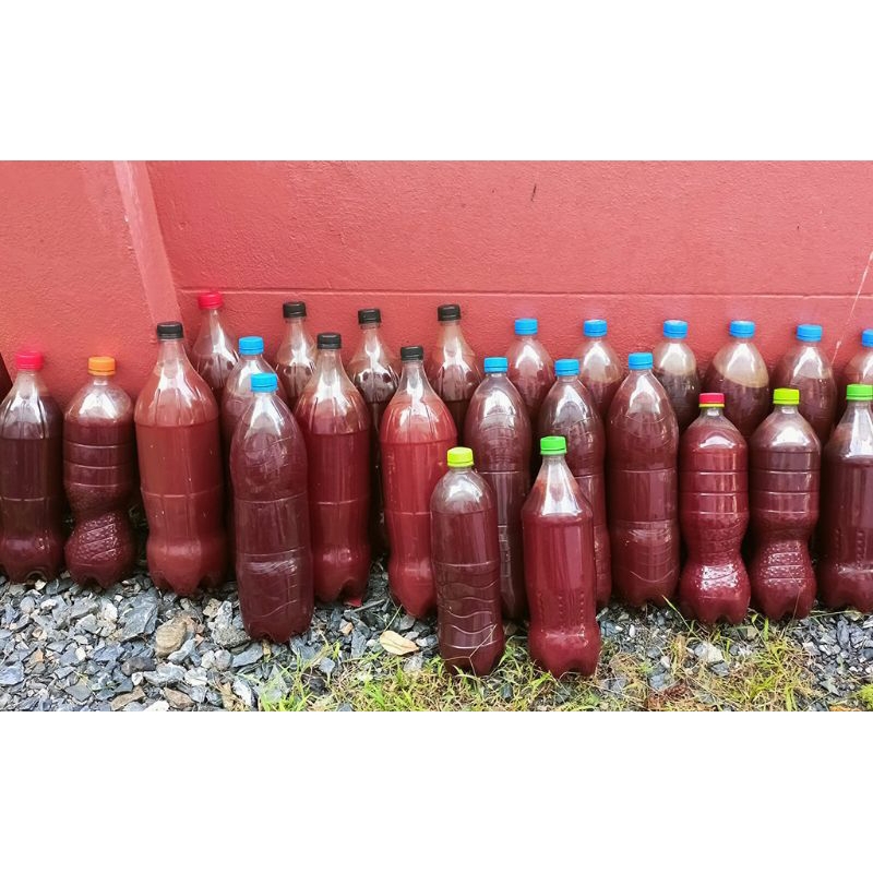 Thai Homemade PSB PHOTOSYNTHETIC BACTERIA/ PERIKANAN/ PERTANIAN ...