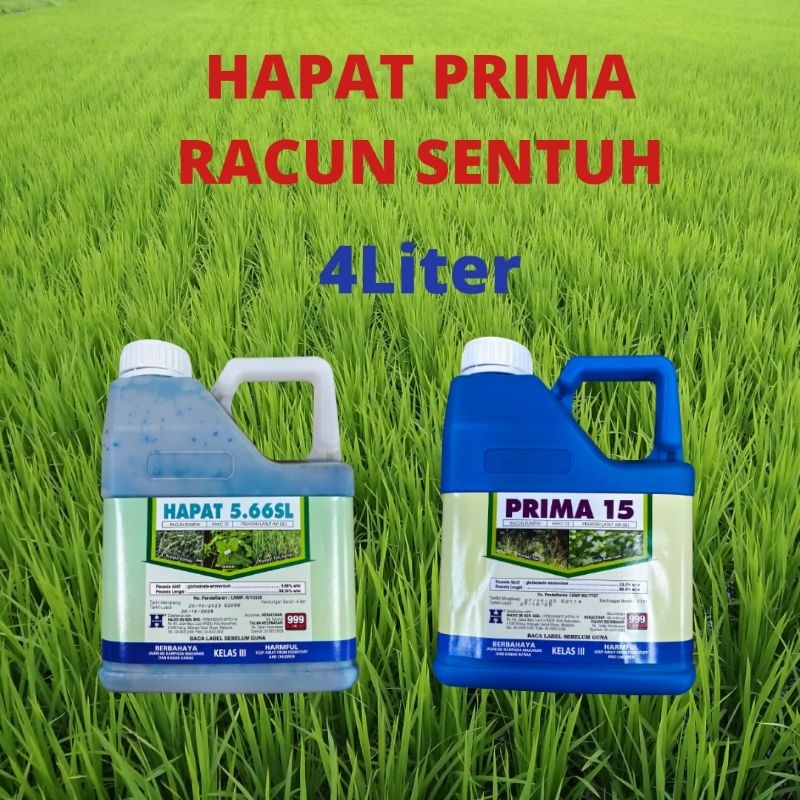 HAPAT PRIMA 4Liter Racun Rumput Cepat Mati (Sama Fungsi KENPAT TEPAT ...