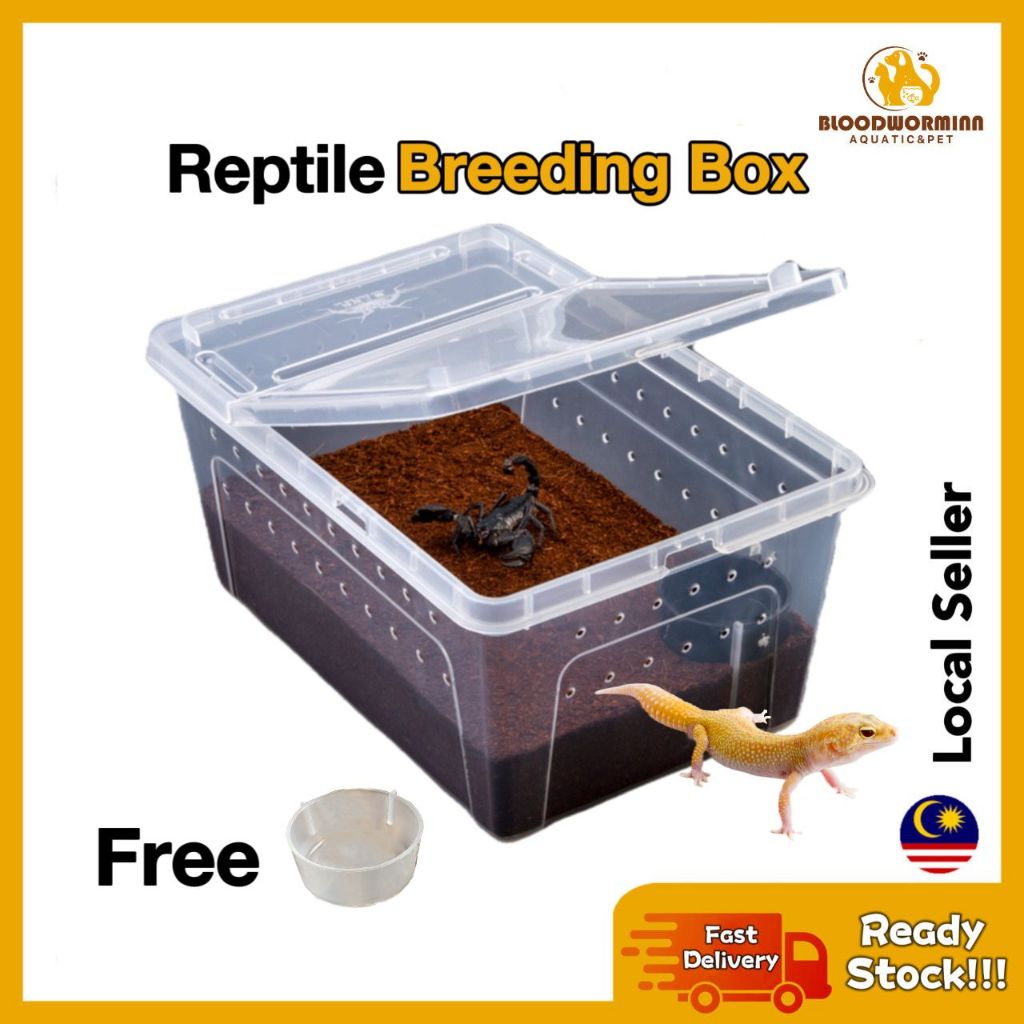 Reptile Breeding Box L Plastic Shelter Box Feeding Reptile Container ...