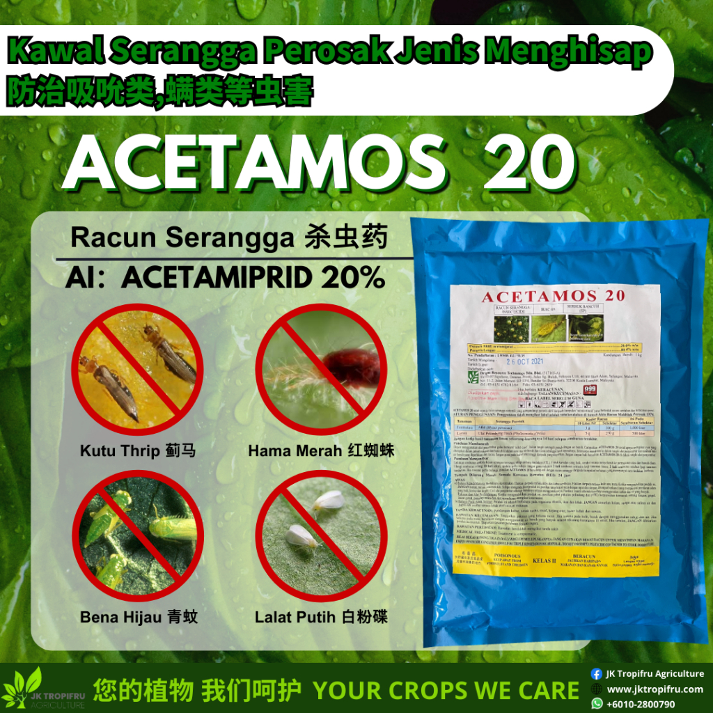 【Bena Hijau,Nyamuk Hijau,Empoasca Fabae,青蚊 】Acetamos 20 SP(1KG ...