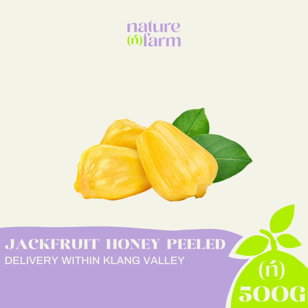 Nature Farm Jackfruit Honey Peeled Nangka Madu 500g Pkt Shopee