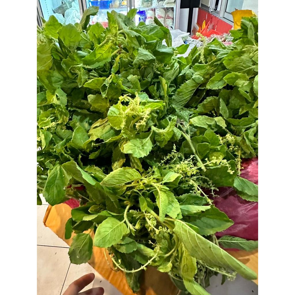 Holy basil vege -ใบกระเพรา 100g | Shopee Malaysia