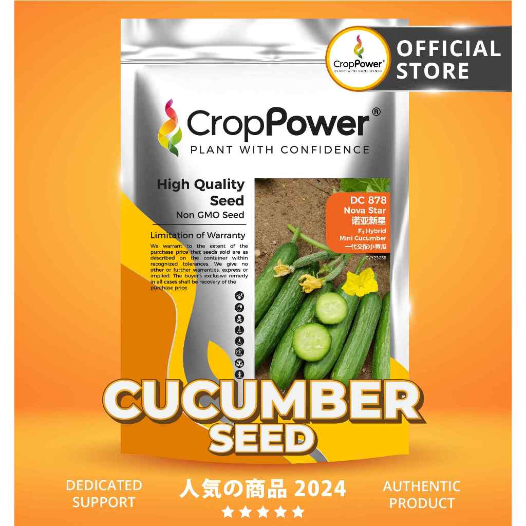 (500 SEEDS) Biji Benih Timun Mini Parthenocarpic Nova Star 诺亚新星 DC878