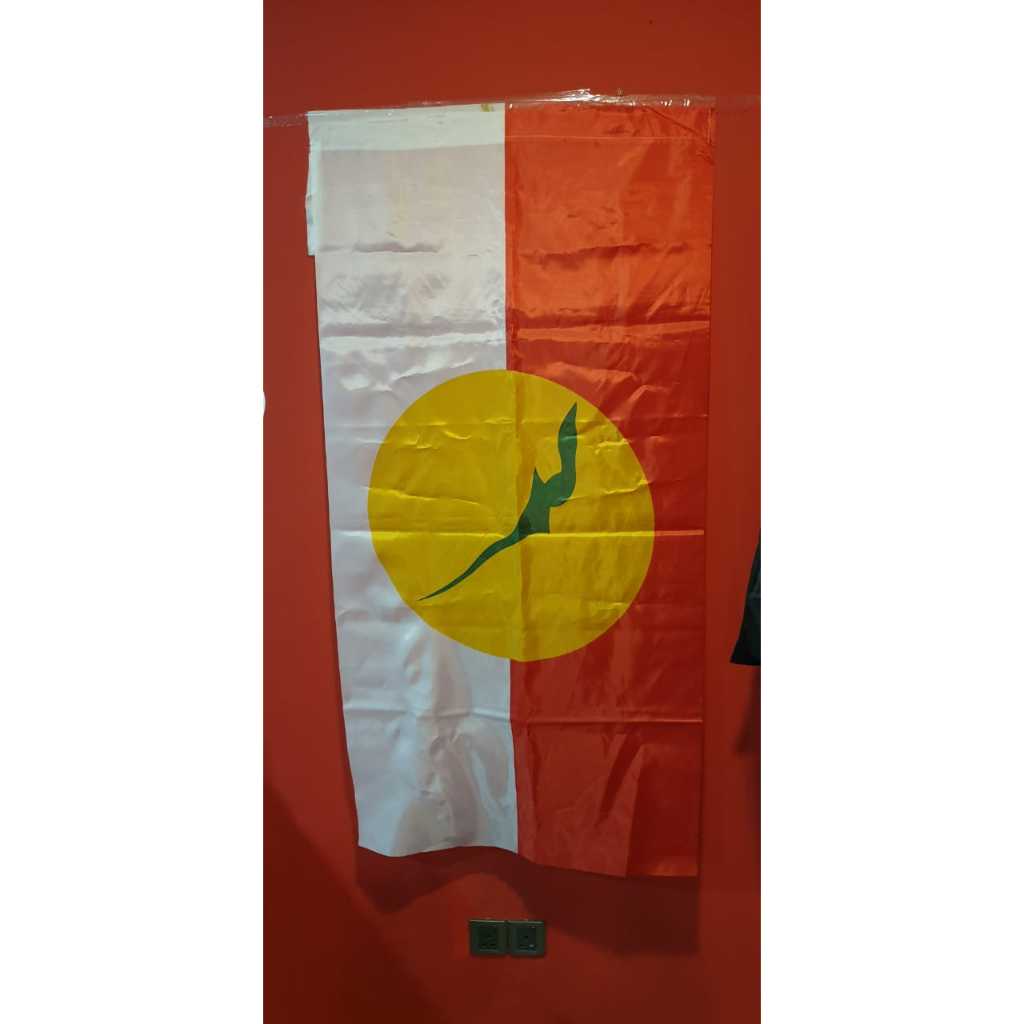 Bendera UMNO size 30x60inch | Shopee Malaysia