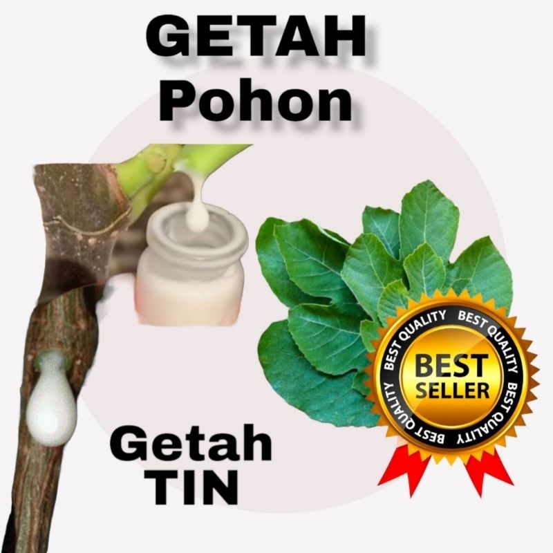 Getah pokok tin / fig sap /latex 5ml. | Shopee Malaysia