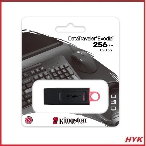Kingston DataTraveler SWIVL USB3.1 /Kingston EXODIA DTX USB3.2 256GB