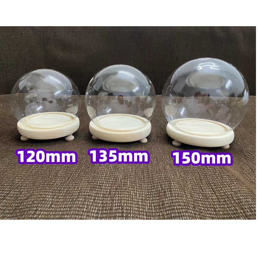 glass dome display - Prices and Promotions - Oct 2026 | Shopee Malaysia
