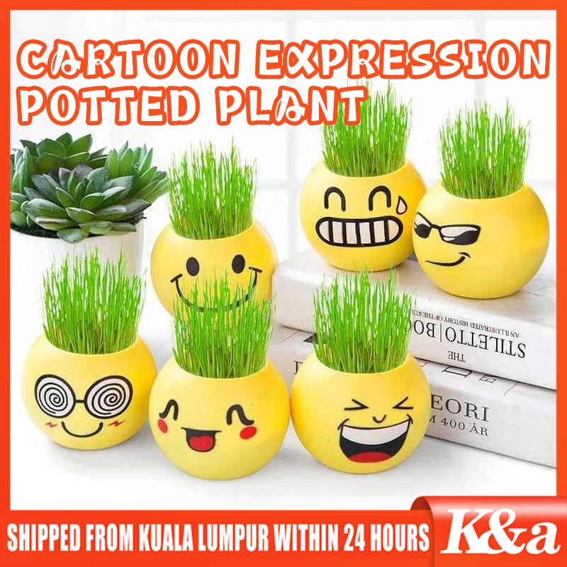 NEW Joyful Planting Easy DIY Growing Kit For Children/Home/Office