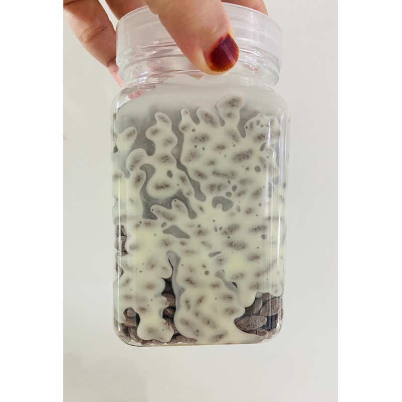 Cocojar Bubble Rice White Compound | Shopee Malaysia