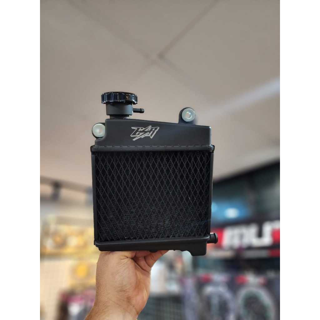ORIGINAL RADIATOR ESR NVX RADIATOR COOLANT AEROX | Shopee Malaysia