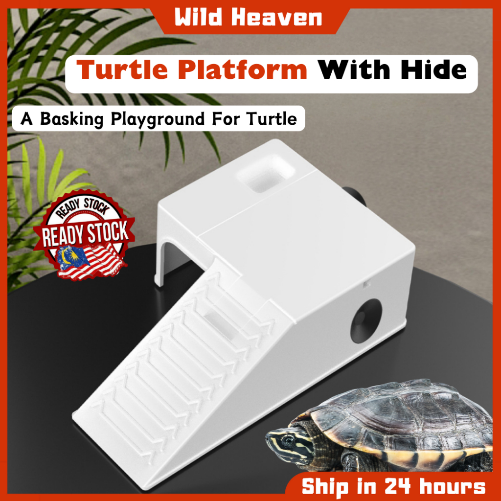 Turtle Platform With Hide Reptile Basking Pier Dock Tortoise ...