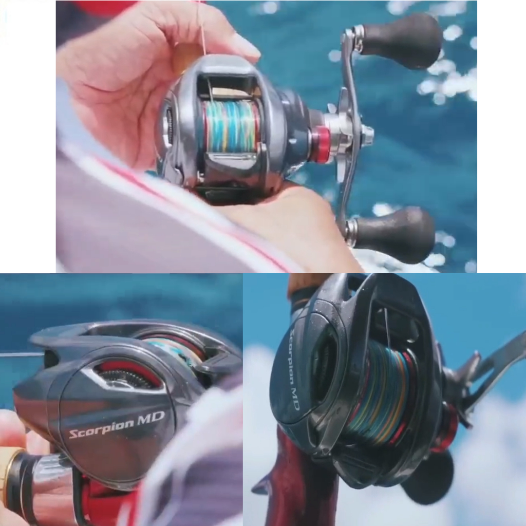 Shimano 300 Shimano 24 Scorpion MD 300XGLH Right Baitcasting Reel