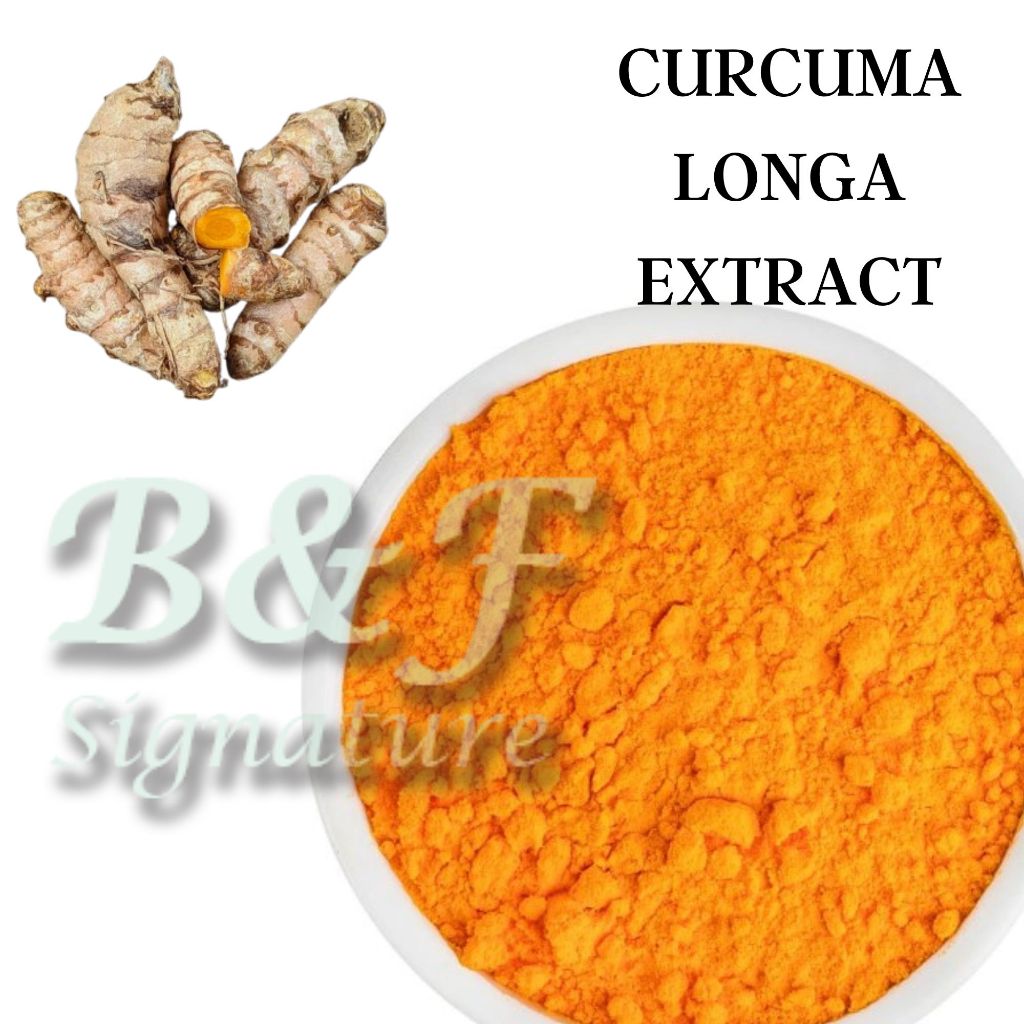 Cucurma Longa /Curcumin / Turmeric Root Extract Powder 500G WHOLESALE ...