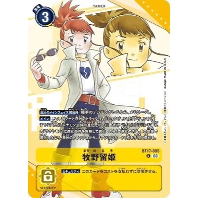 DTCG Digimon Card Game Premium Bandai Heroines Set Rika Nonaka R ( BT17 ...