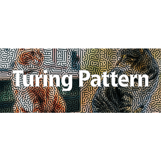 AE Plugin - Turing Pattern After Effect Plugin (Window) | Shopee Malaysia