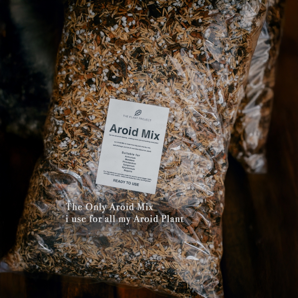AROID MIX Special formulated Aroid Soil Mix Ready To Use Soil for ...
