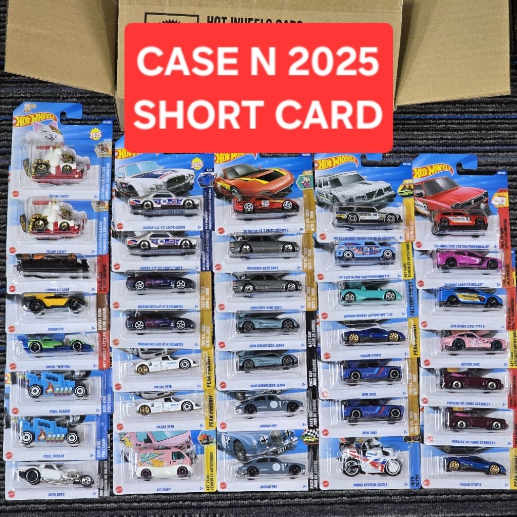 Hot Wheels Case N