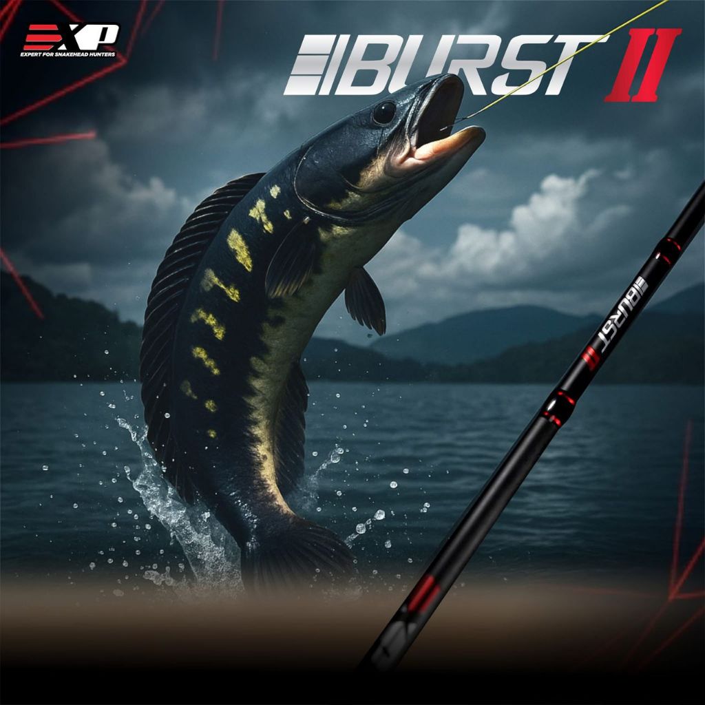 EXP FISHING BURST II FISHING ROD | Shopee Malaysia