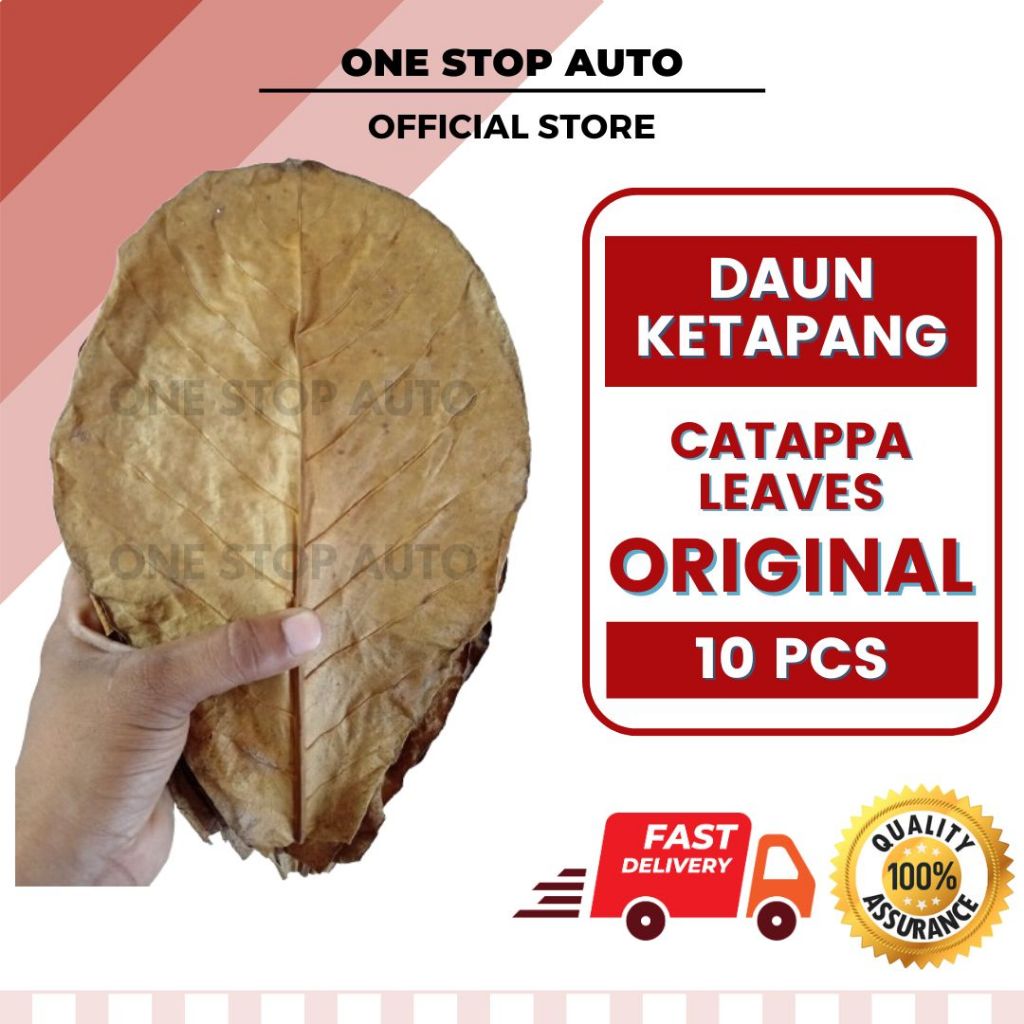 Catappa Indian Almond Leaves for Betta Fish Tank Aquarium, 2 Water Catappa Indian Almond Leaves for Betta Fish Tank Aquarium, 2 Water