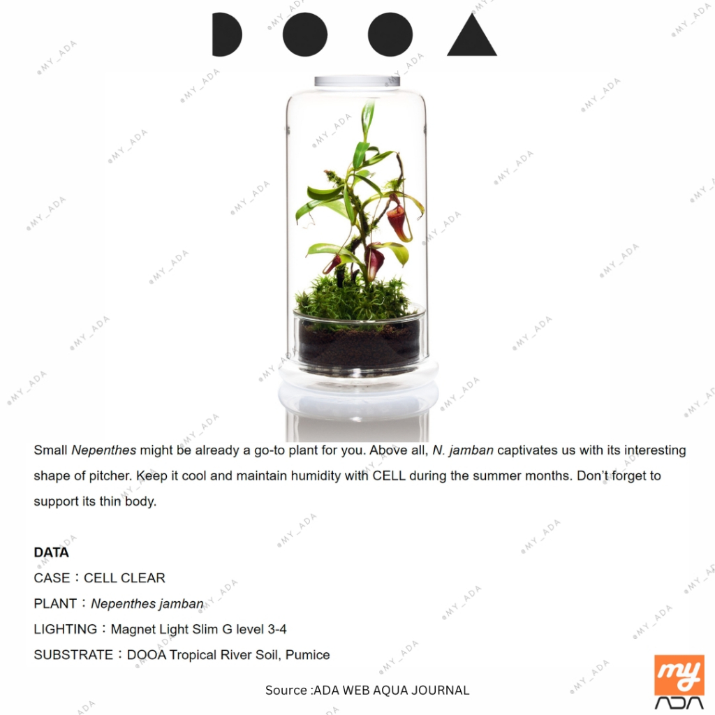 DOOA Magnet Light G Slim Aquarium Lighting/Paludarium Lighting