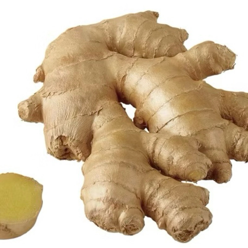 Halia / Ginger / 500g / 1kg | Shopee Malaysia