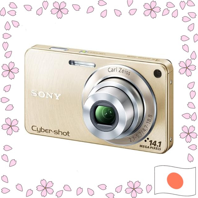 Sony Cyber-shot DSC-W350 digital point store and shoot camera