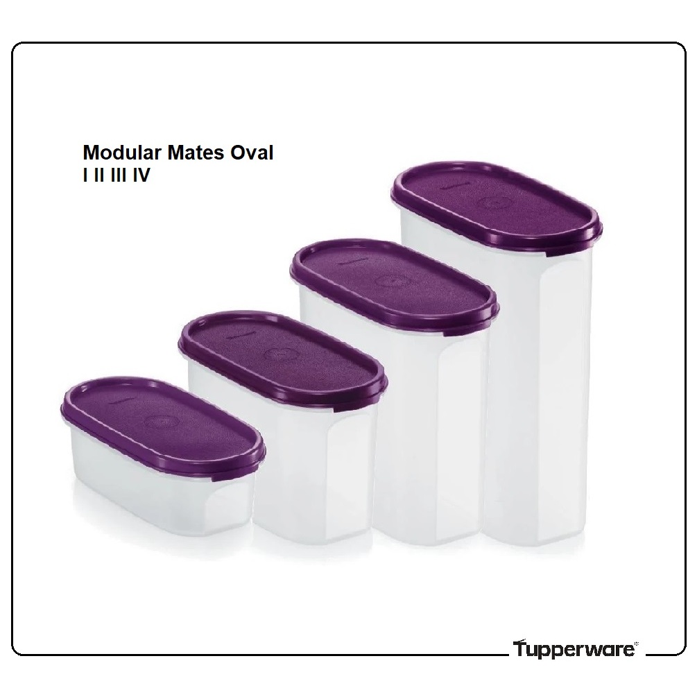Tupperware Modular Mates Oval - Seal in Dewberry Color | Shopee Malaysia