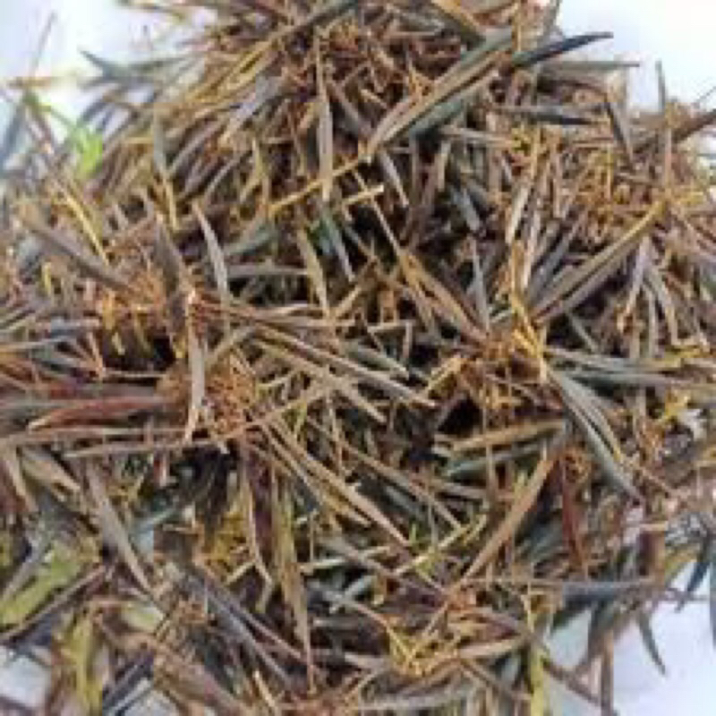 Biji Benih Ulam Raja Berkualiti | Shopee Malaysia