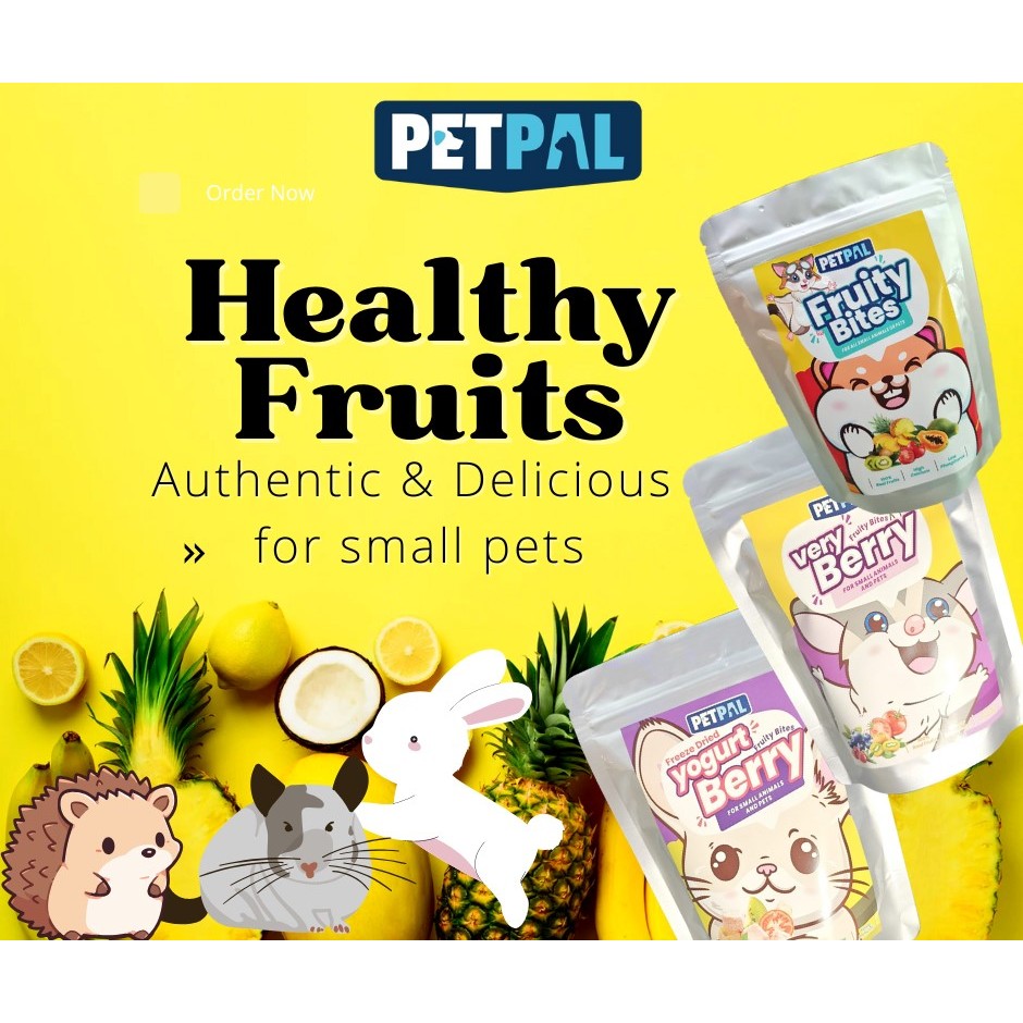 Petpal Healthy Fruity | Natural Fruit Snacks for Rabbits, Guinea Pigs ...