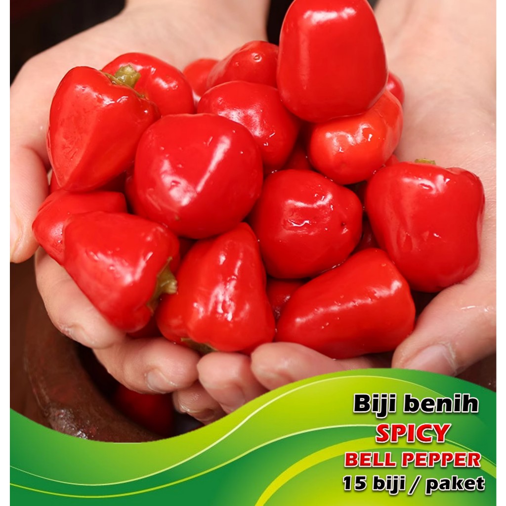 Biji Benih Cili Spicy Bell Pepper (15 biji sepacket) / Chilli seeds ...
