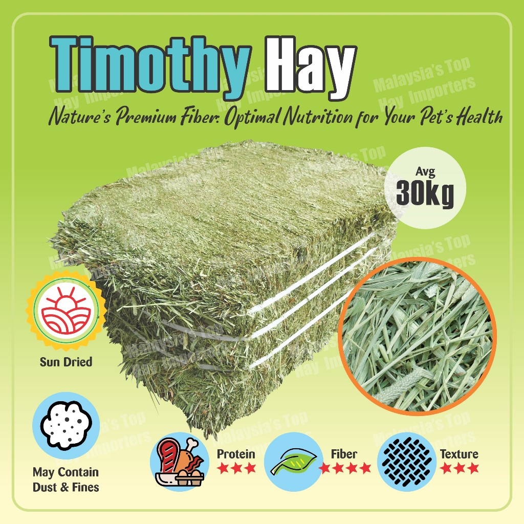 Premium quality imported Timothy / Alfalfa / Orchard hay bale Avg 30kg ...