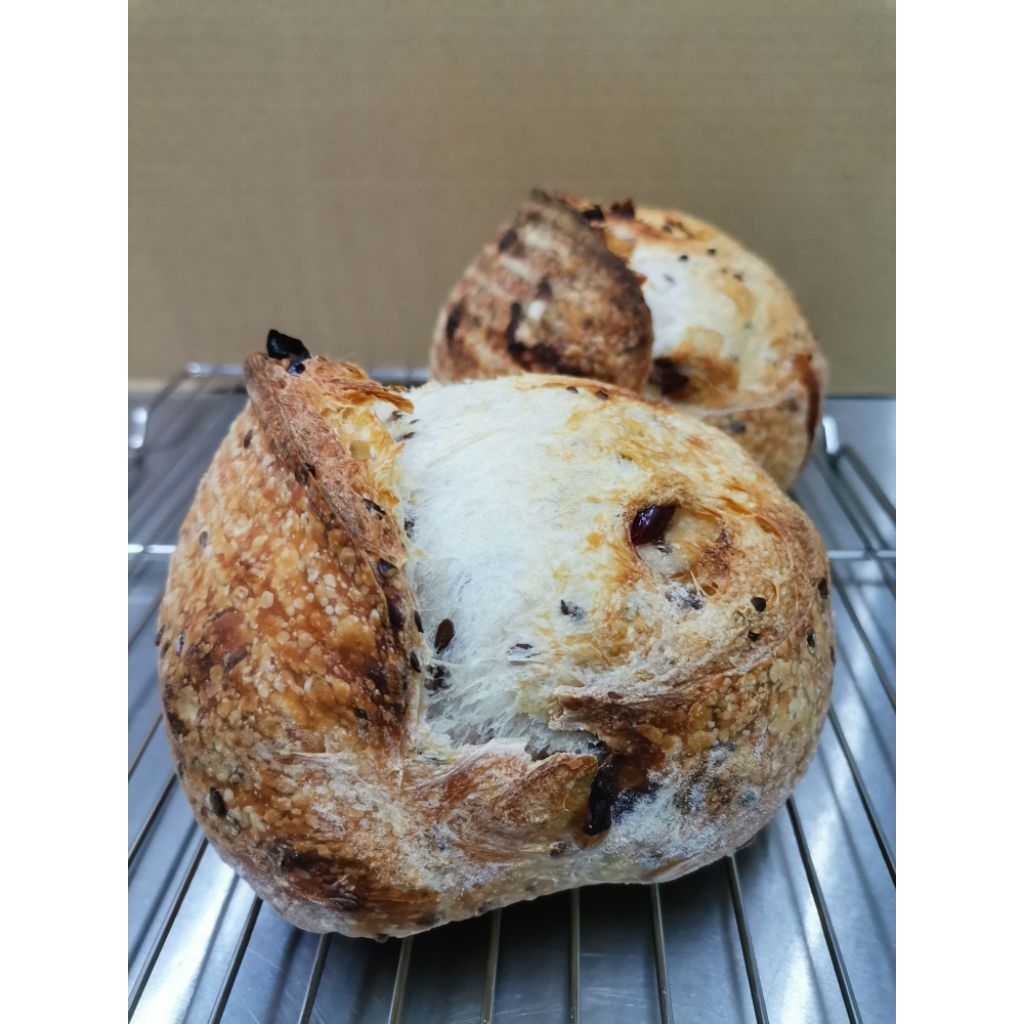Handcraft Artisan Sourdough Wholewheat Bread 600g onward | Shopee Malaysia