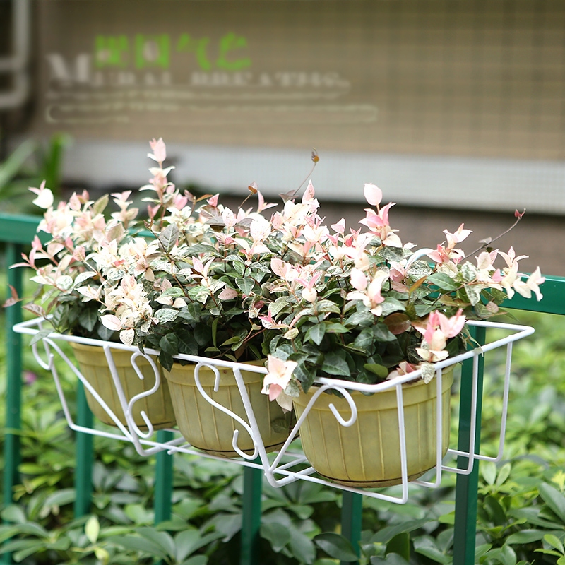 Balcony Iron Flower Rack Hanging Flower Pot Rack Rak Bunga Plant Flower ...
