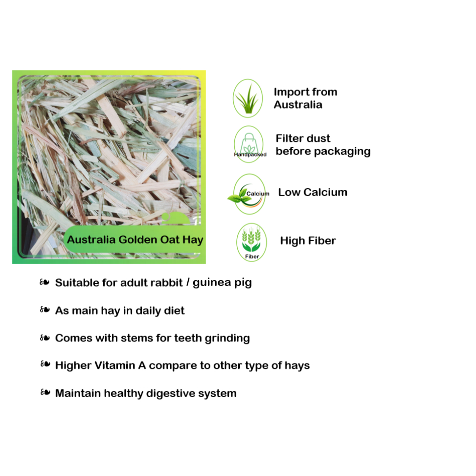 Golden Oat Hay Australia 500g (rabbit, guinea pig) | Shopee Malaysia