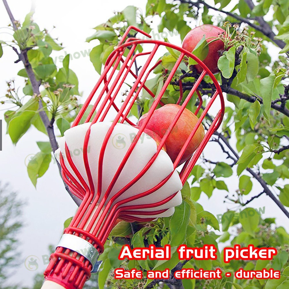 Height Adjustable Multifunction Fruit Picker net Basket Tool Easy Safe ...