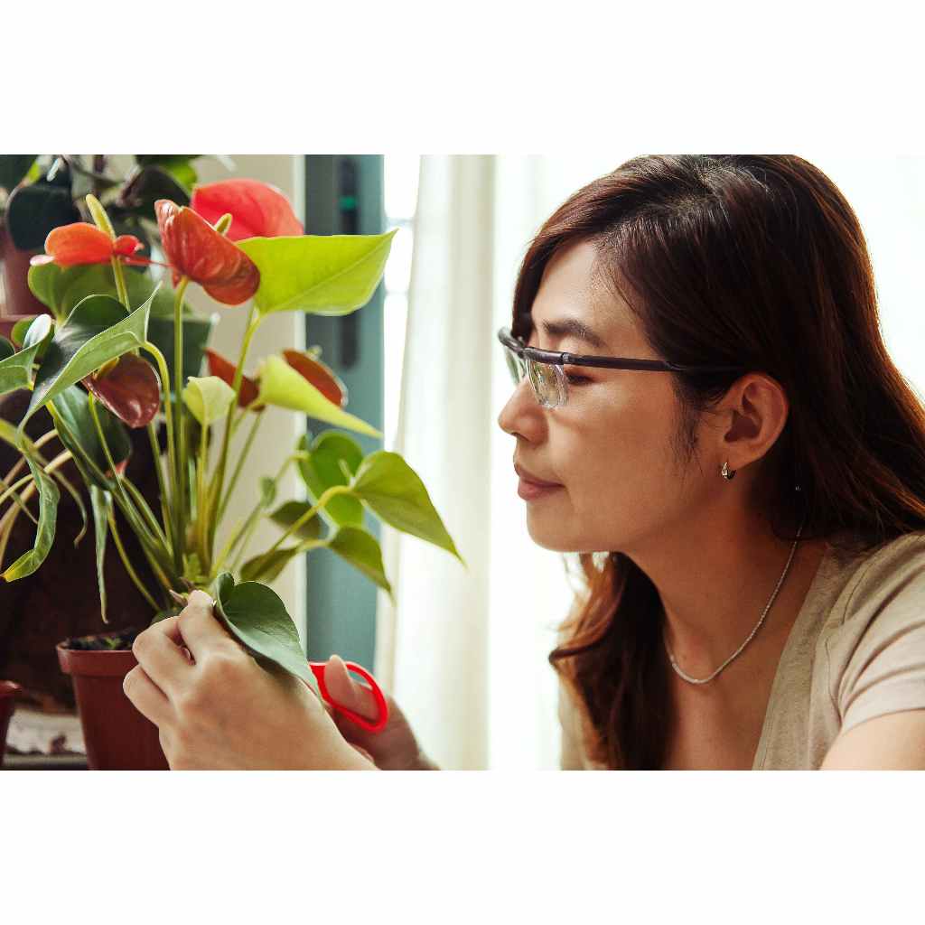 Reading Glasses seeplus Trade Mark Number TM2019041205 Shopee Malaysia