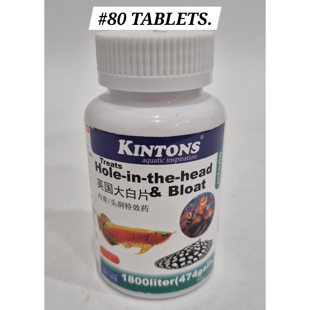 Kintons Octozin Fish Water Treatment Aquarium 80Tablets | Shopee Malaysia