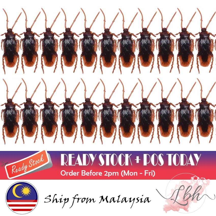 [LBH] Prank Toy April Fool Fake Cockroach Toy 仿真蟑螂 假蟑螂 Lipas Palsu ...