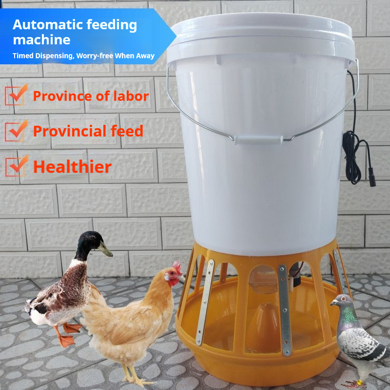 Chicken Automatic Feeder with Solar Timer for Poultry and Pigeons Feed ...