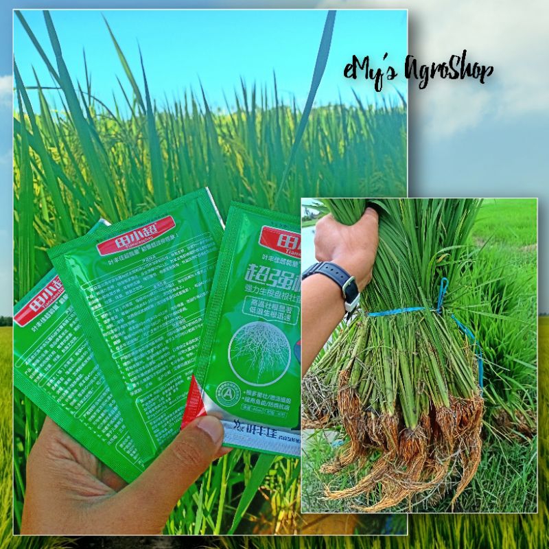 Vitamin Hero (pecah anak/rendam benih mati bakteria) | Shopee Malaysia
