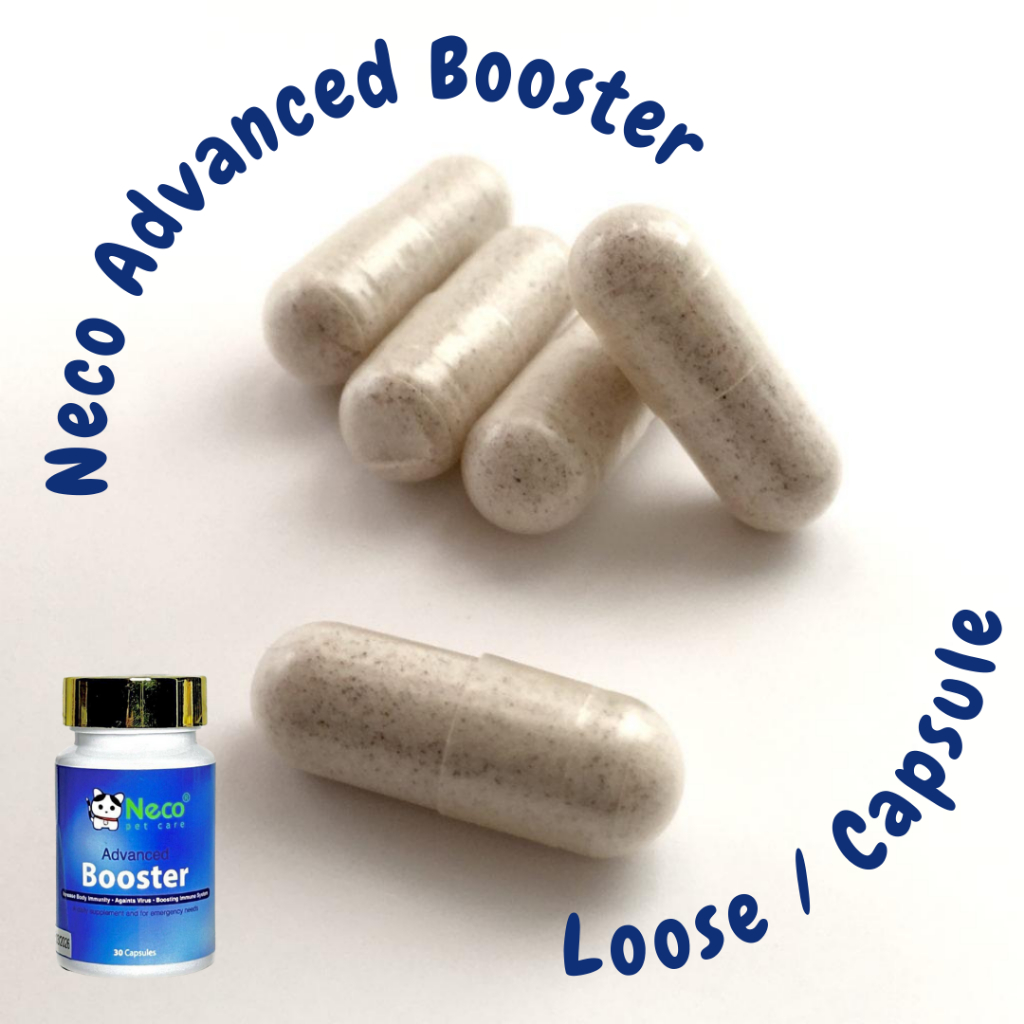 NAB - Neco Advance Booster For Cats (LOOSE VARIATION ONLY ) | Shopee ...