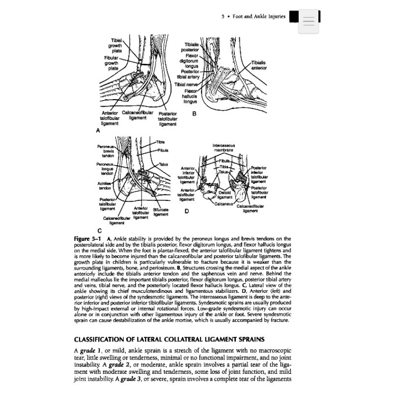 Handbook of Orthopaedic Rehabilitation || Foot and Ankle Injuries ...