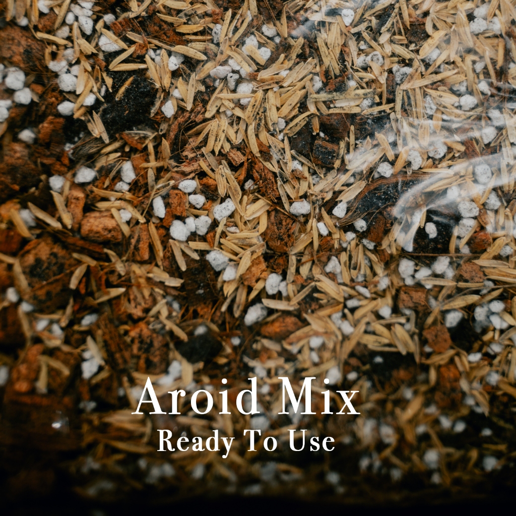 AROID MIX Special formulated Aroid Soil Mix Ready To Use Soil for ...