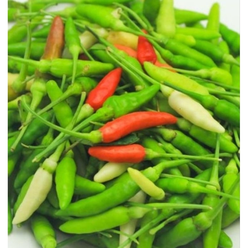 Buy cili padi fresh Online With Best Price, Jul 2026 | Shopee Malaysia