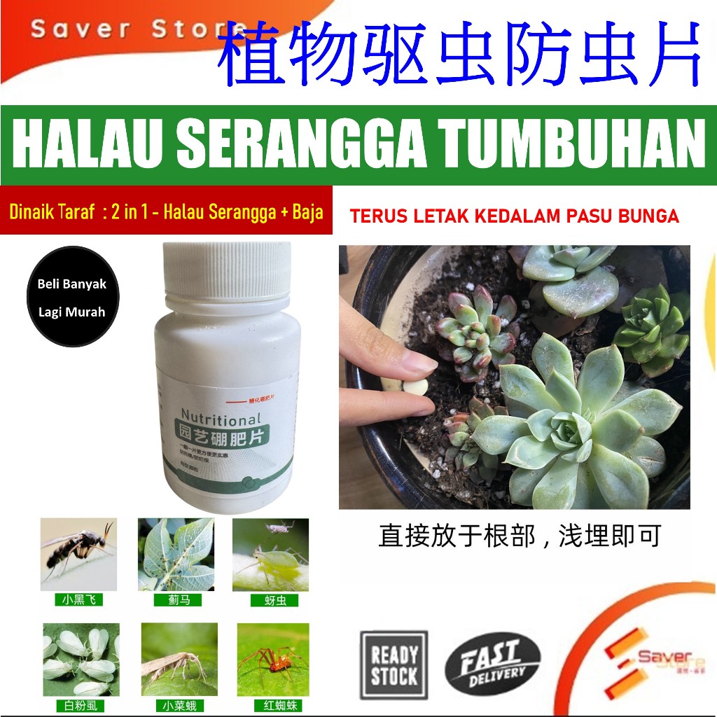 Saverstore Baja Halau Serangga Tumbuhan Ubat Serangga Tumbuhan Pasu ...