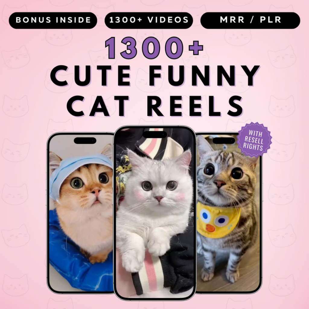 1300+ Viral Cat Reels Funny Kitten Video for TikTok Instagram YouTube ...