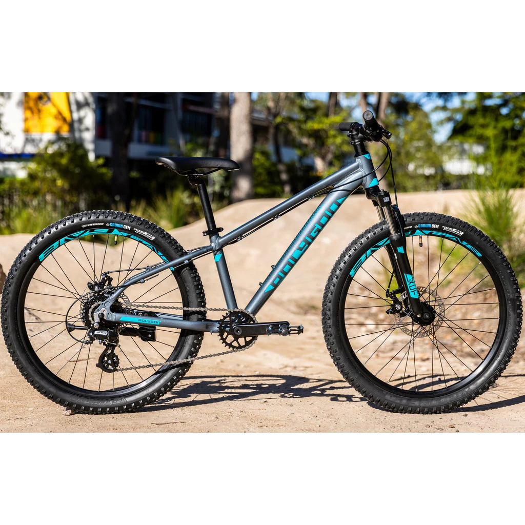 [POLYGON] PREMIER 24 8 SPEED KIDS XC MOUNTAIN BIKE - MECHANICAL DISC ...
