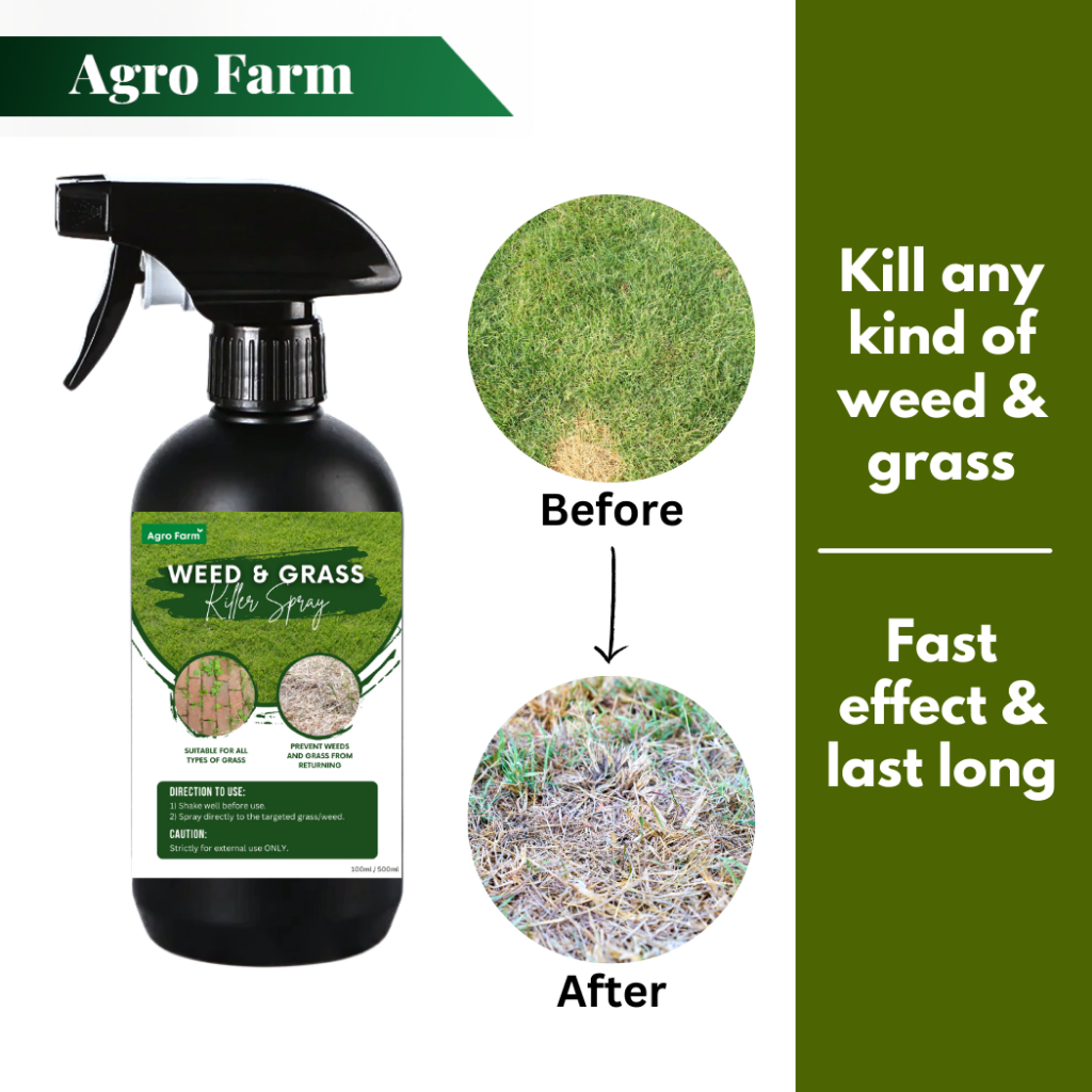 Agro Farm Premium Racun Rumput Liar Spray / Anti Rumput Liar / Anti ...
