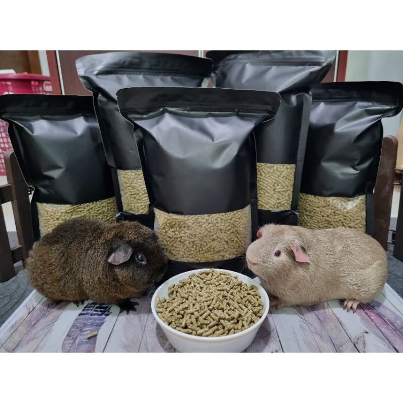 Hi-C Guinea Pig Pallet/chocoroco/guineapig/tikusbelanda | Shopee Malaysia