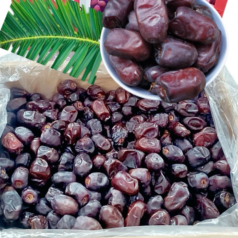 Kurma Madu Royal Mazafati/ Bam Dates, Rutob | Shopee Malaysia